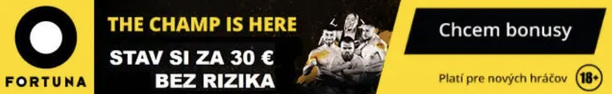 fortunabannermma01.jpg