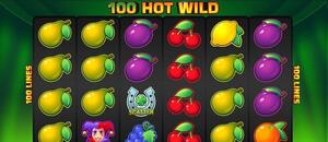 Online automat 100 Hot Wild Online automat 100 Hot Wild