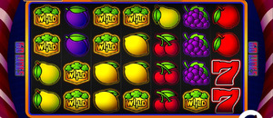 Wild Joker 60 Max Wild Joker 60 Max