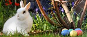 Vyzdvihnite si veľkonočné bonusy